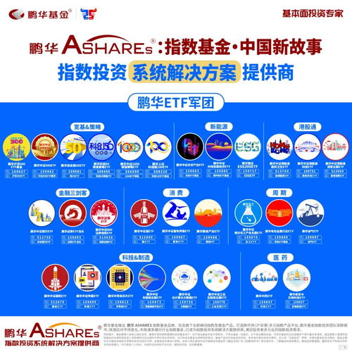 优选科创板中锋利的矛 鹏华科创100ETF基金9月15日上市，聚焦投资旅游新机遇