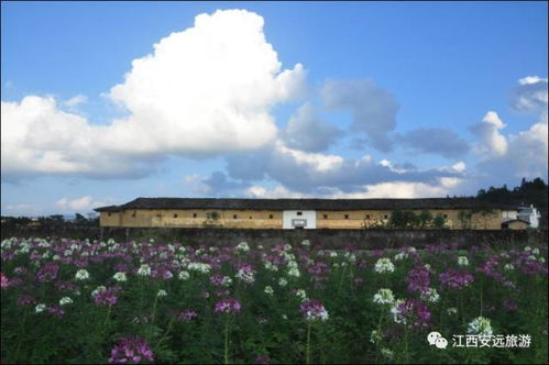 投资安远旅游，让您魅力无限